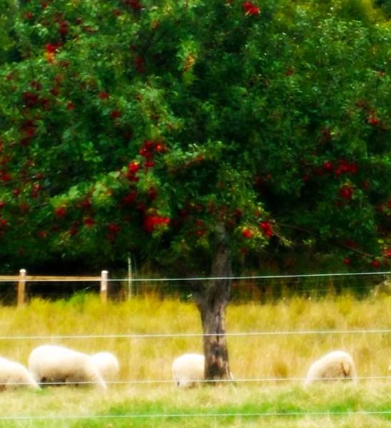 stay loop